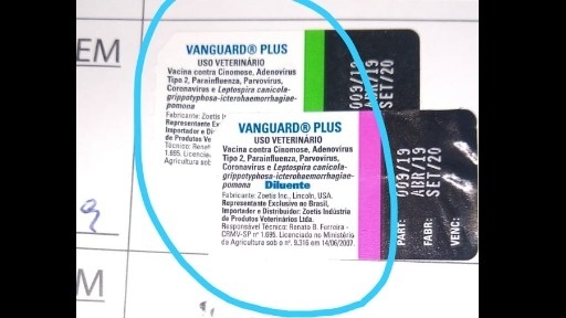 vanguard v8